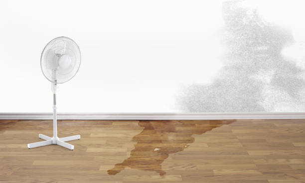 Best Professional water damage repair  in West Terre Haute, IN