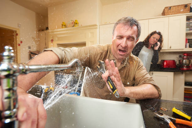 Best Water damage contractors near me  in West Terre Haute, IN